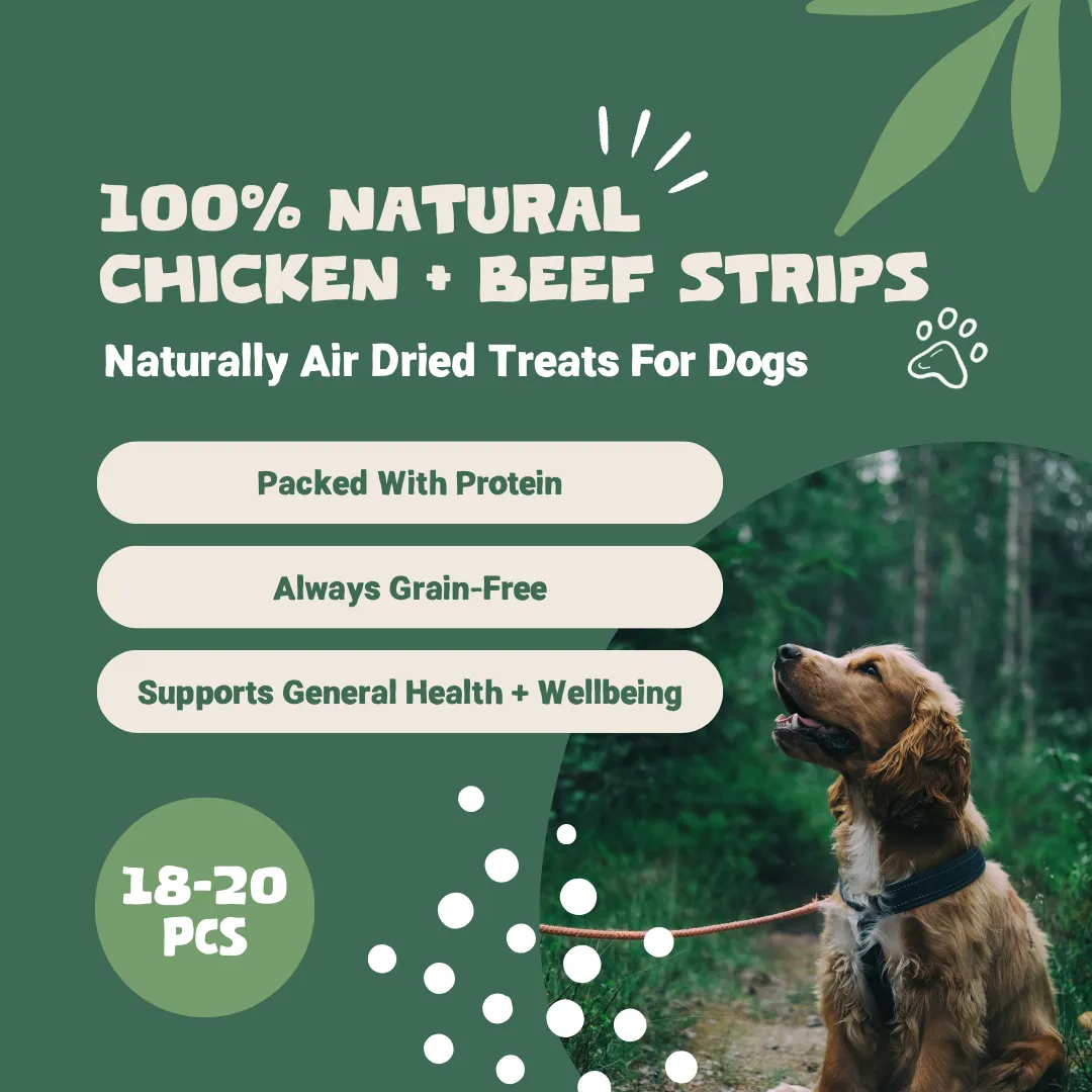 100% Natural Pure Chicken & Beef Treats | 100g