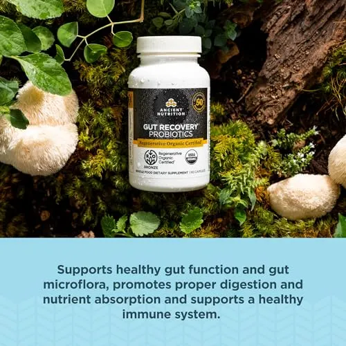 Ancient Nutrition Gut Recovery Probiotics 50 Billion CFUs* Per Serving, 60 Capsules