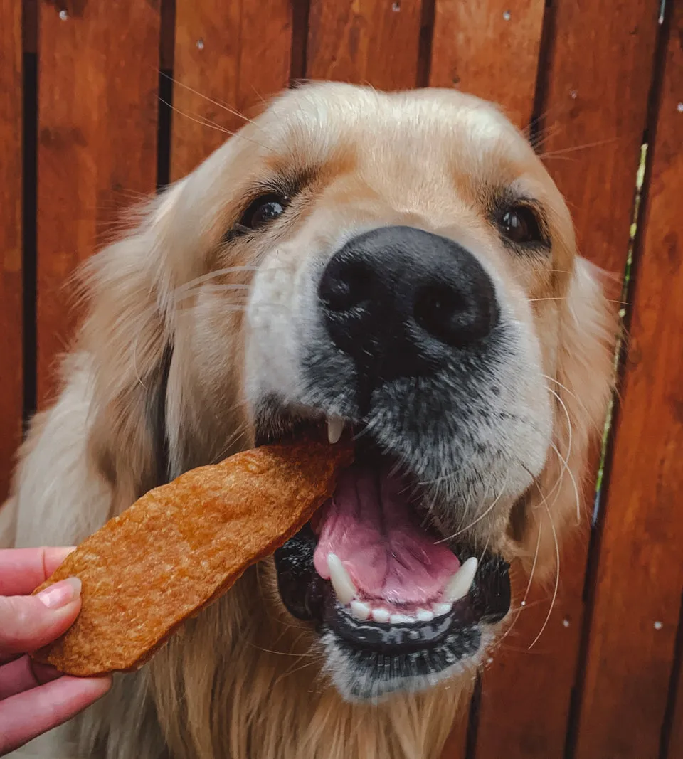 Anco | Natural Dog Treats | Chicken Jerky Fillets - Single