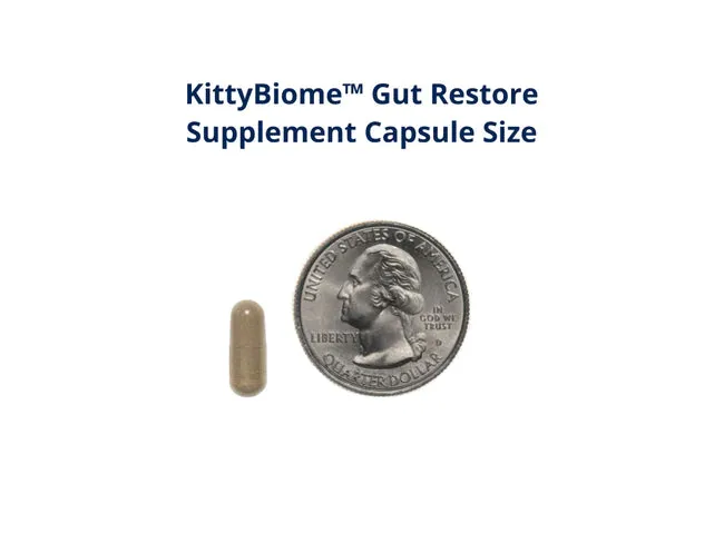 AnimalBiome - FMT KittyBiome™ Gut Restore Supplement