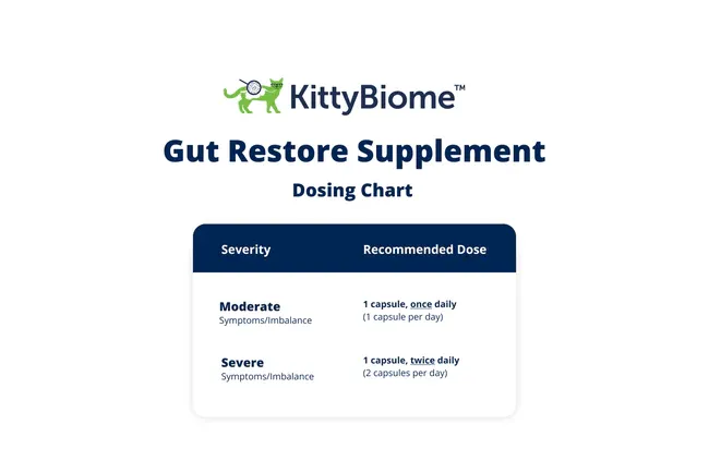 AnimalBiome - FMT KittyBiome™ Gut Restore Supplement