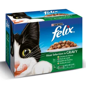 Felix | Wet Cat Food Pouches | Gravy Selection - 12 x 100g