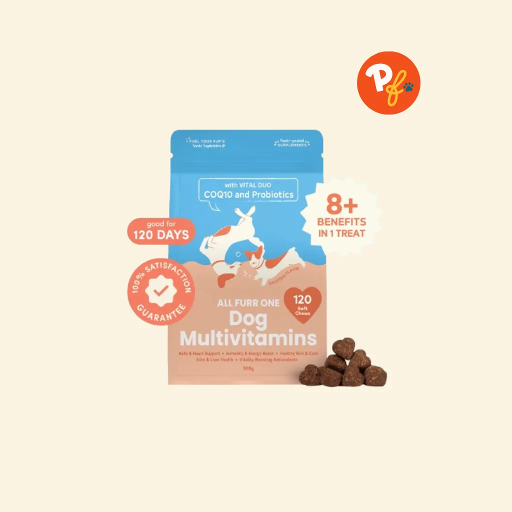 Floof Pets - All Furr One Dog Multivitamins (300g)