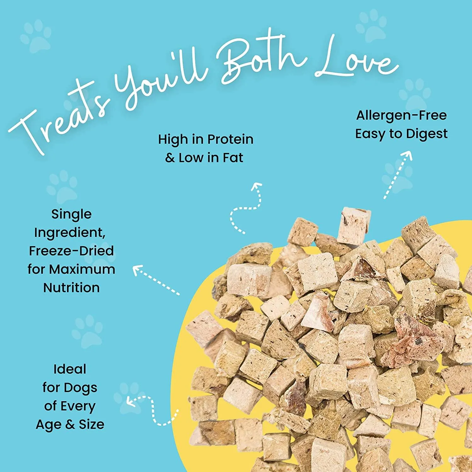 Freeze Dried Beef Liver Treats for Dogs