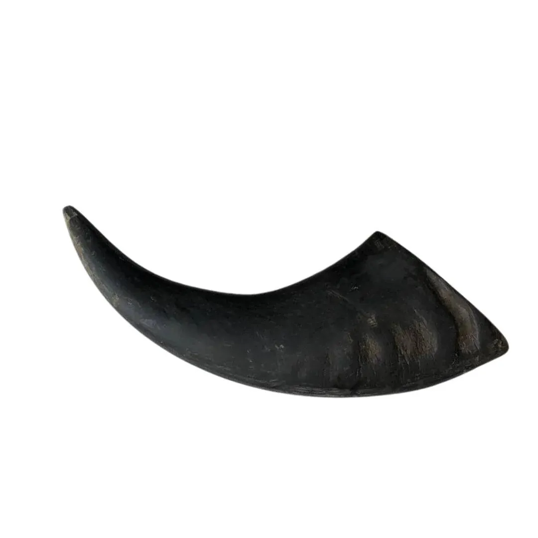 Harley's Buffalo Horn