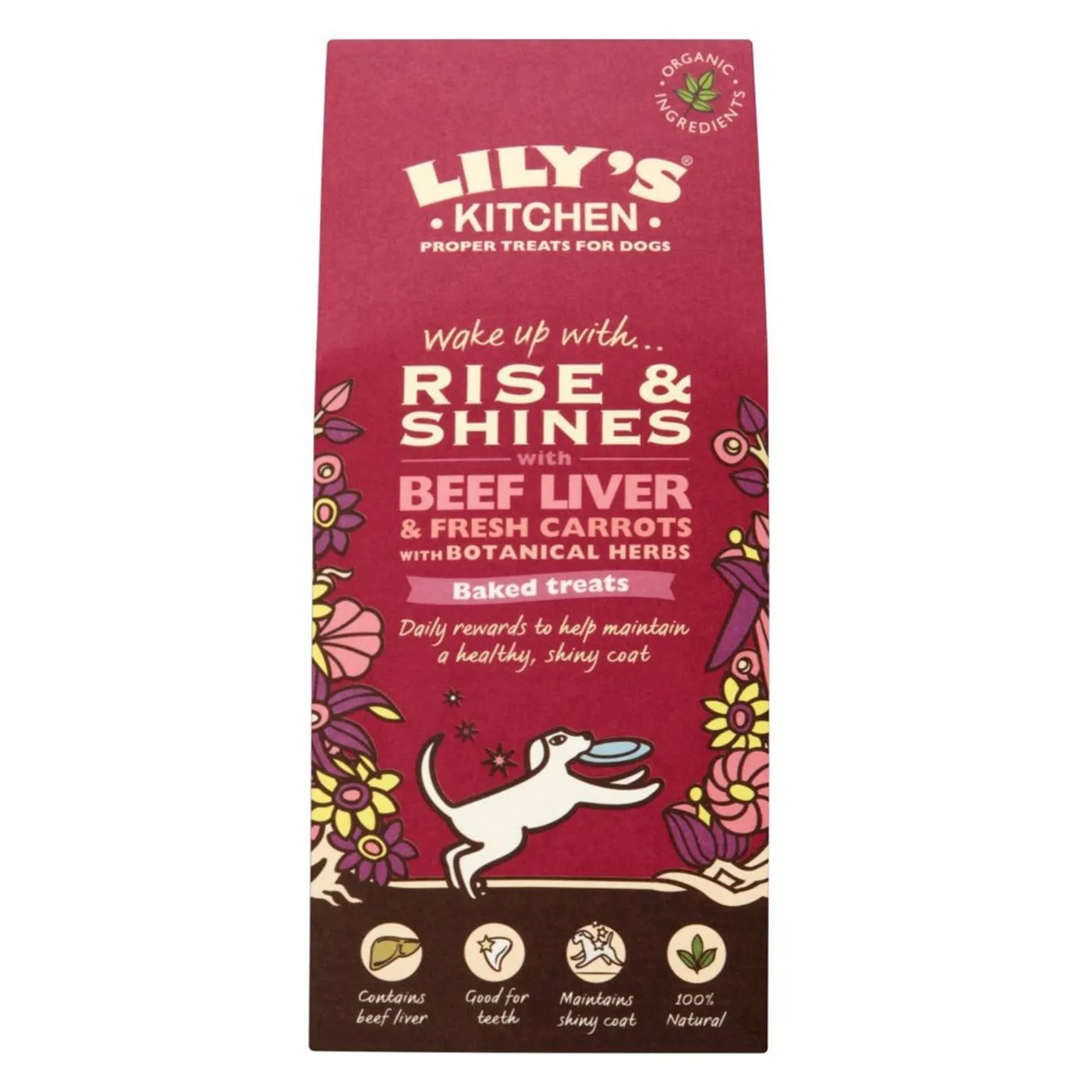 Lily's Kitchen Organic Rise & Shines 100g