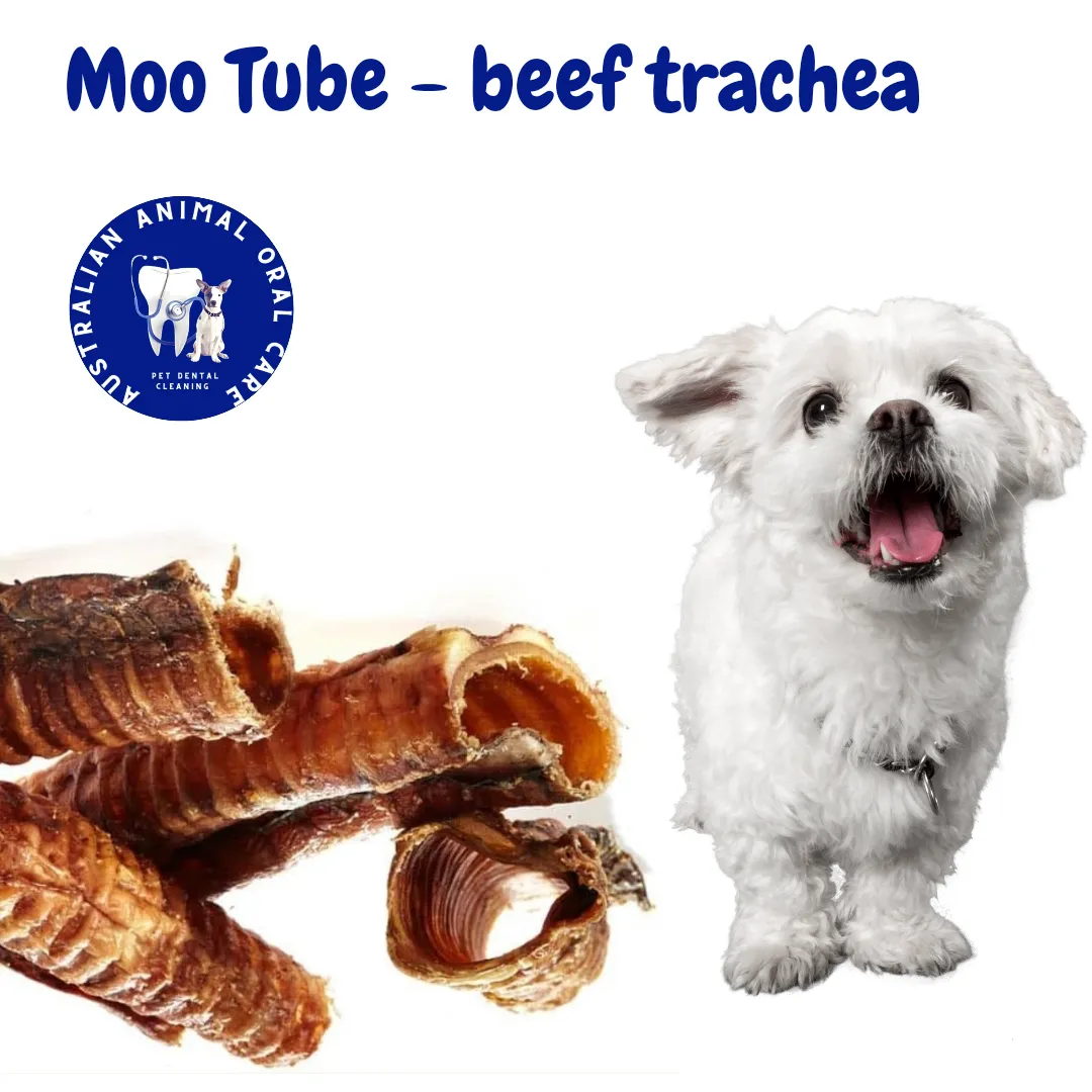 Moo Tube - Dental Chew