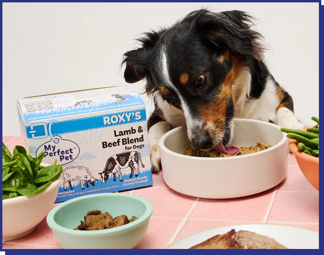 My Perfect Pet Roxy’s Lamb & Beef Grain Free Blend for Dogs