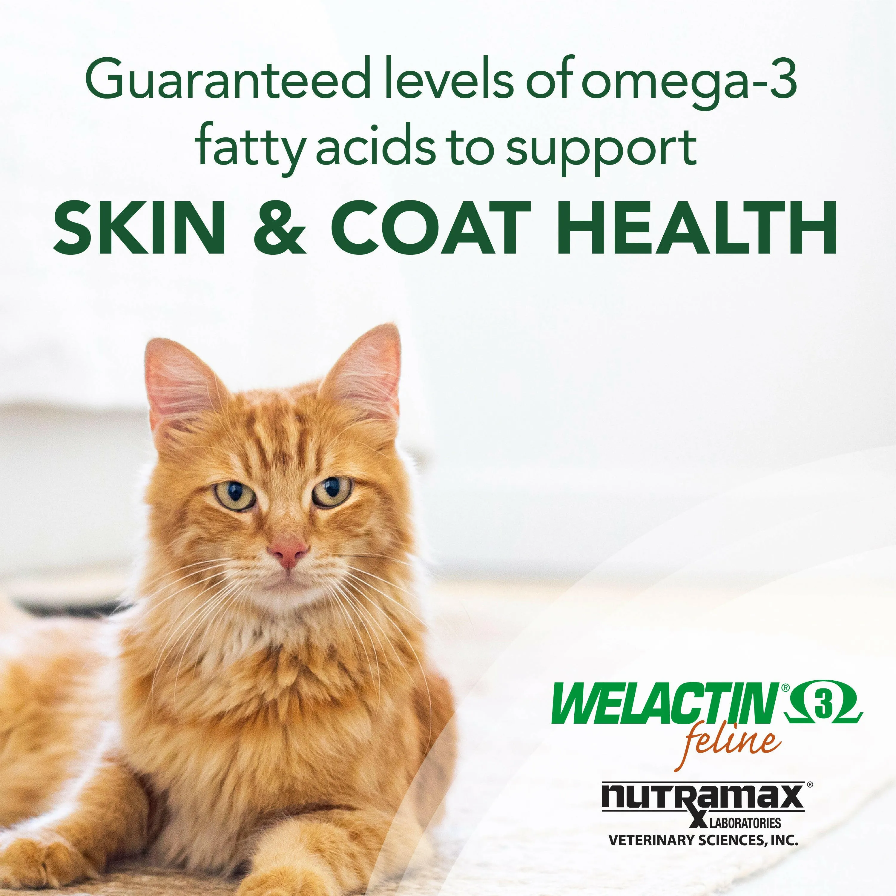 Nutramax Welactin Omega-3 Fish Oil Skin and Coat Health Supplement Liquid For Cats, 4 Ounce