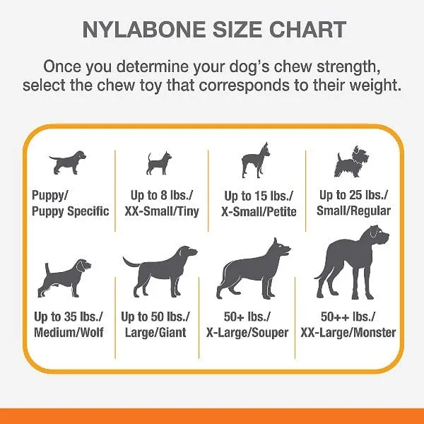 Nylabone Dental Chew and Flexi Bone Combo Pack Dog Chew Toys