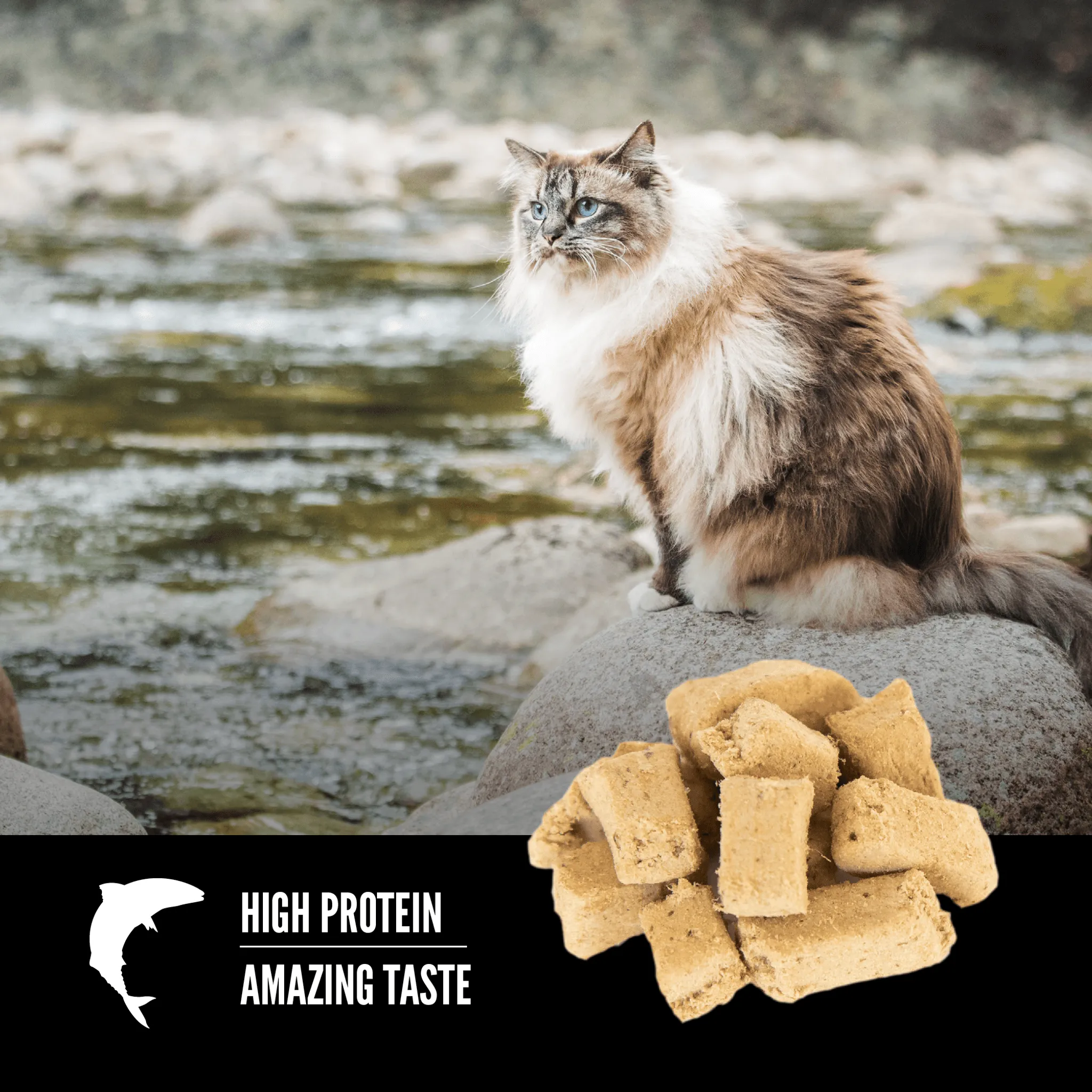 Orijen Freeze-Dried Cat Treats Six Fish