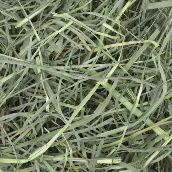 Oxbow Orchard Grass Hay 1.13kg