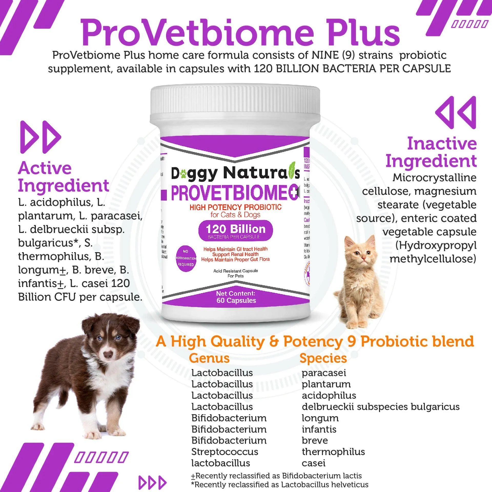 ProVetBiome Plus High Potency Probiotics for Dog & Cat 60 Capsules