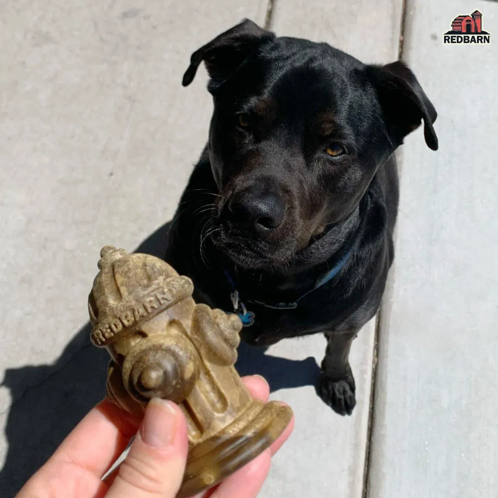 Redbarn Chew-A-Bulls Hydrant Shaped Dental Chews for Dogs