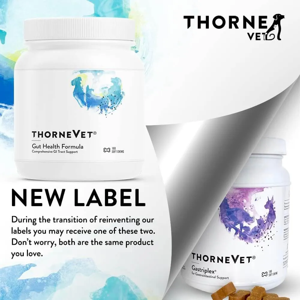 ThorneVet Gut Health Formula Dog & Cat Supplement