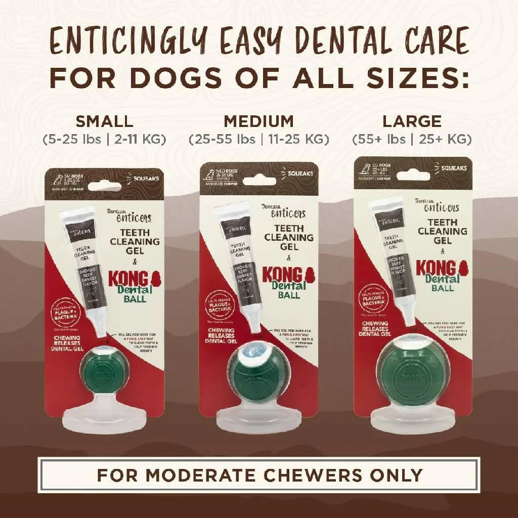 TropiClean Enticers Smoked Beef Flavor Dental Ball Kit for Small Dogs (1 oz)