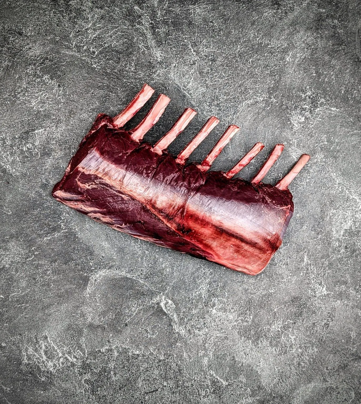 Wapiti Elk Rib Rack | Frenched