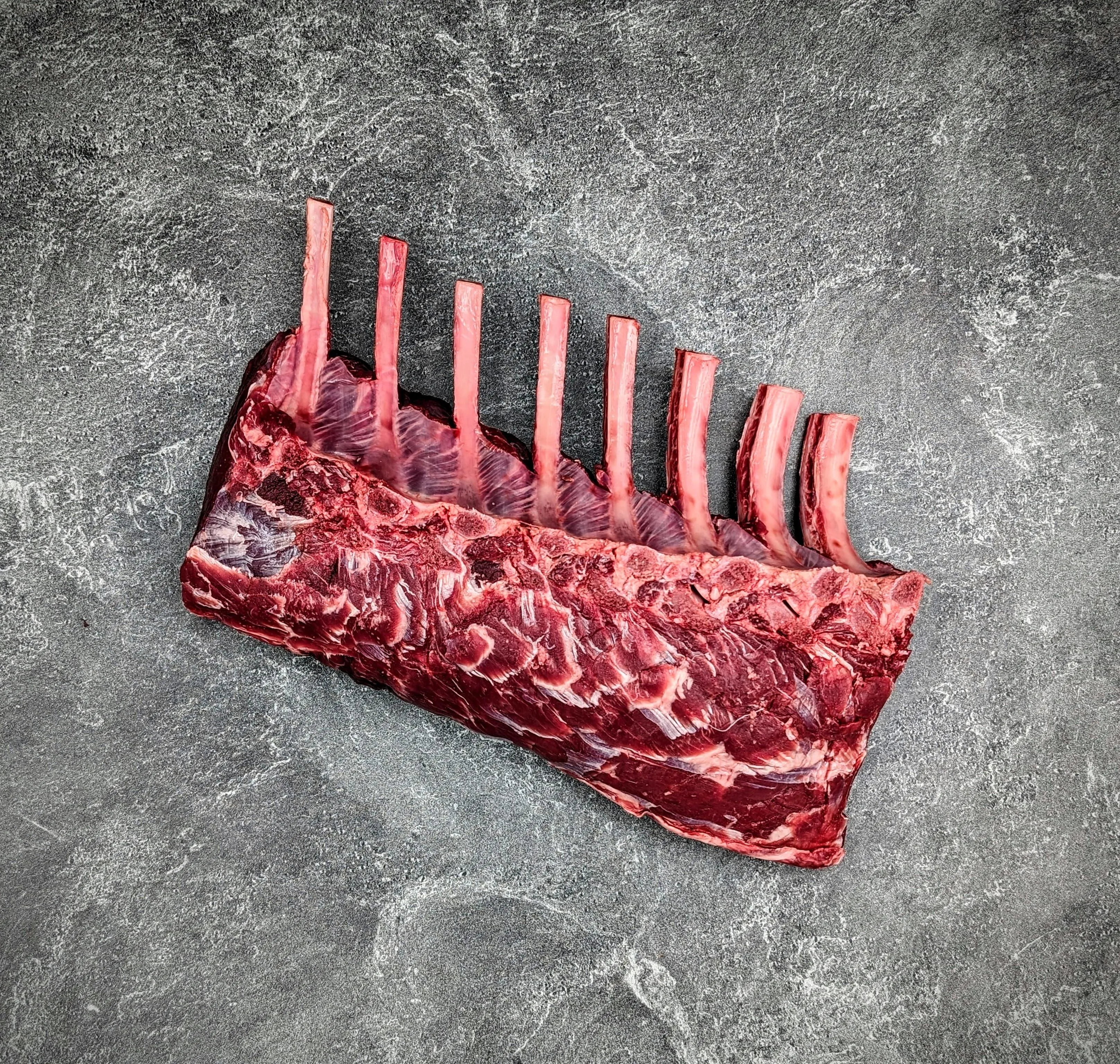 Wapiti Elk Rib Rack | Frenched