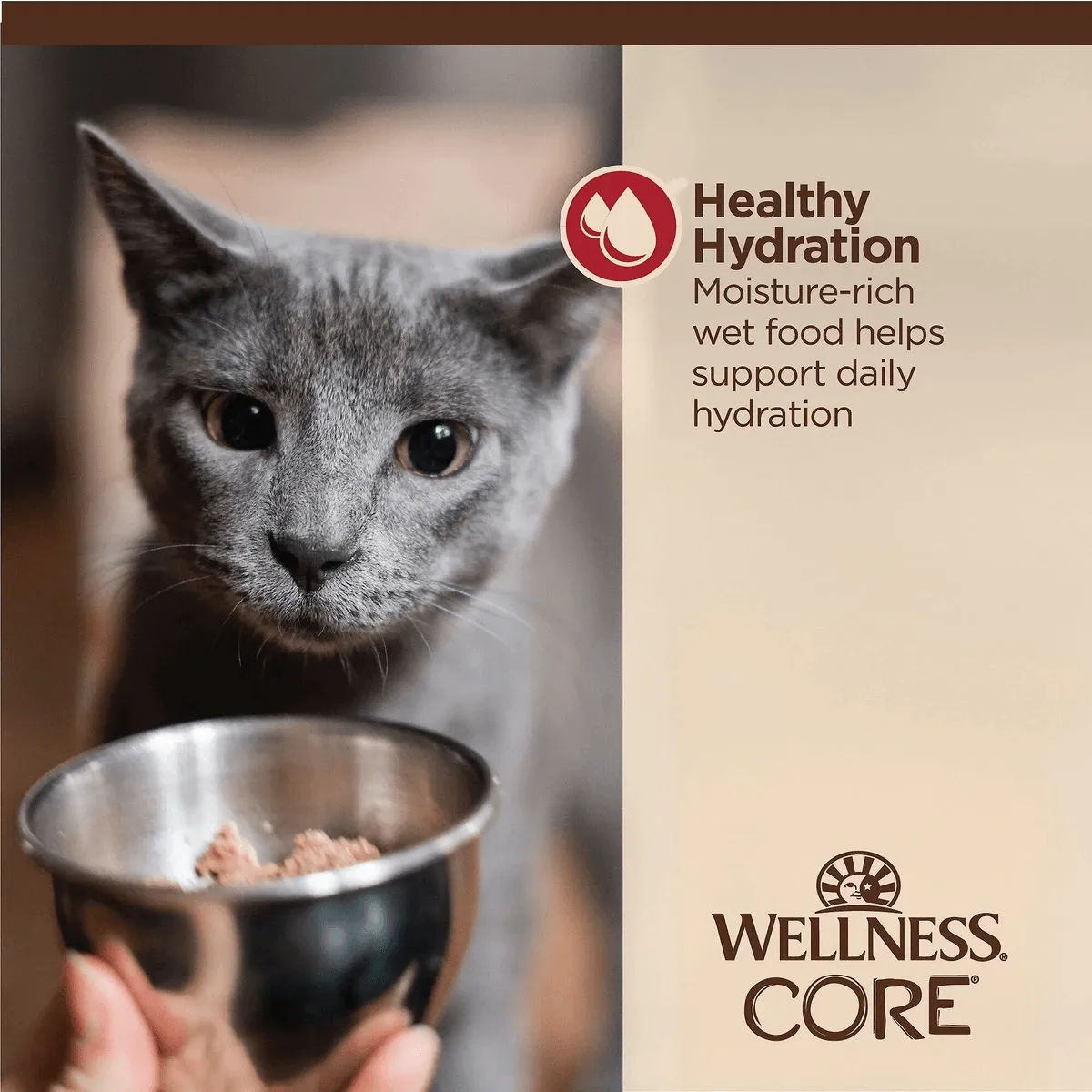 Wellness CORE Tiny Tasters Minced Chicken & Beef in Gravy Wet Cat Food