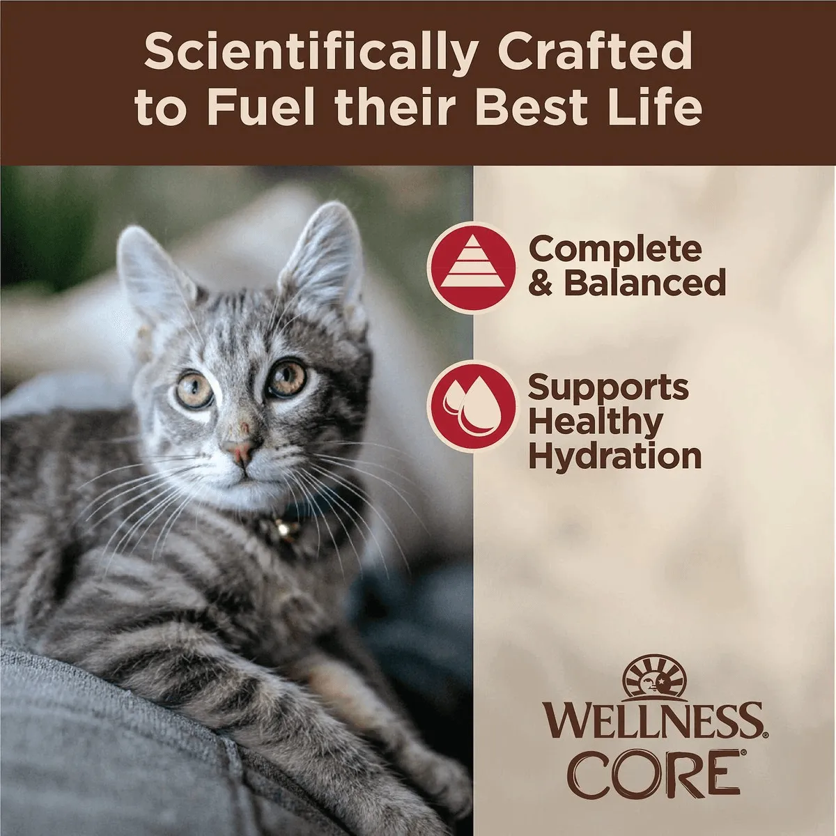 Wellness CORE Tiny Tasters Minced Chicken & Beef in Gravy Wet Cat Food