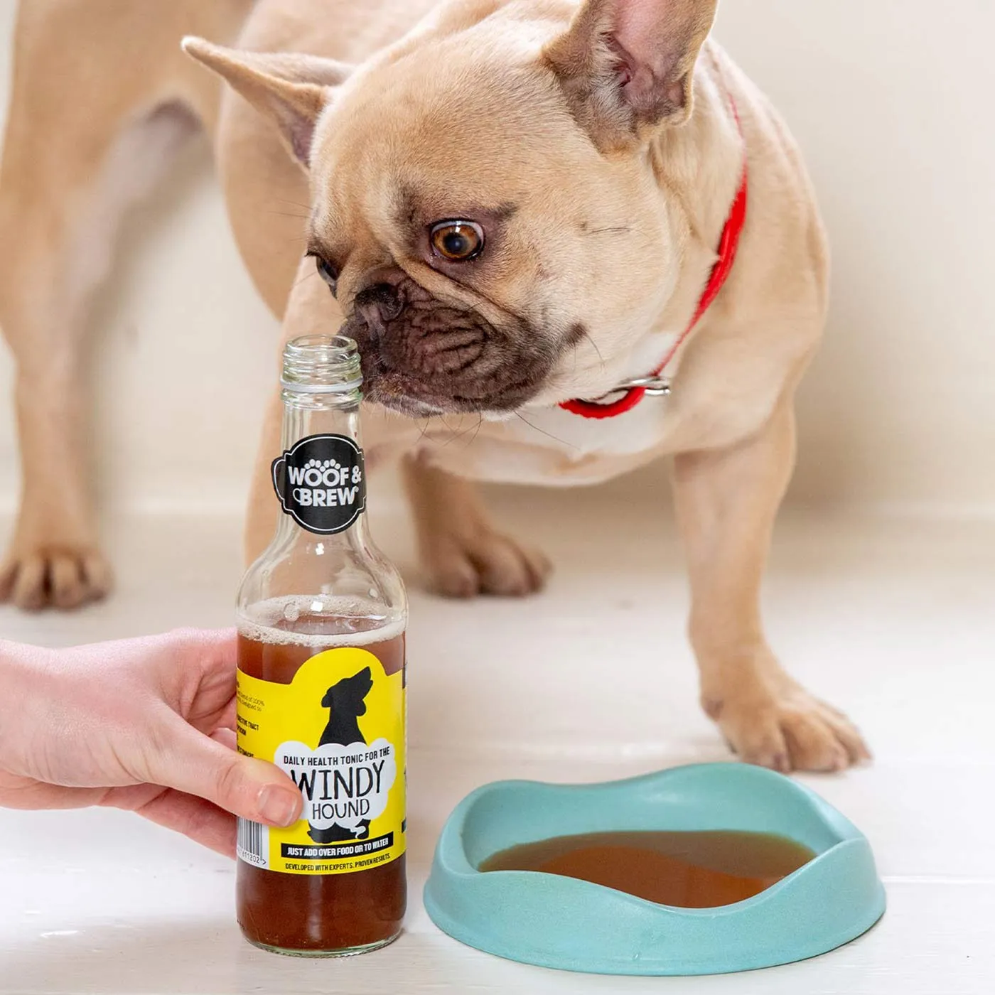 Woof & Brew Windy Hound Tonic